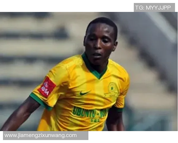 莫桑比克足球明星的辉煌历程与成就盘点