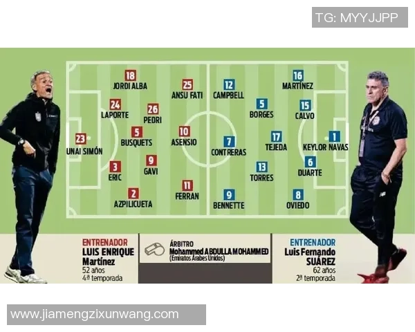 西班牙国家队世界杯战术解析与球队表现评估